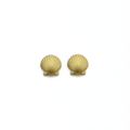 Sankaty Gold Shell Earrings