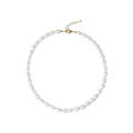 Pearl necklace with a gold clasp on a white background